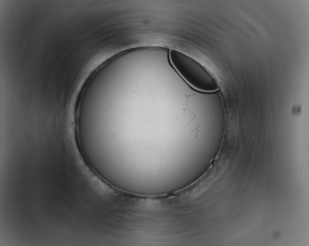 X0000103261088200809051438