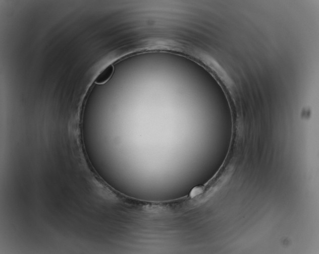 X0000103261089200809051438