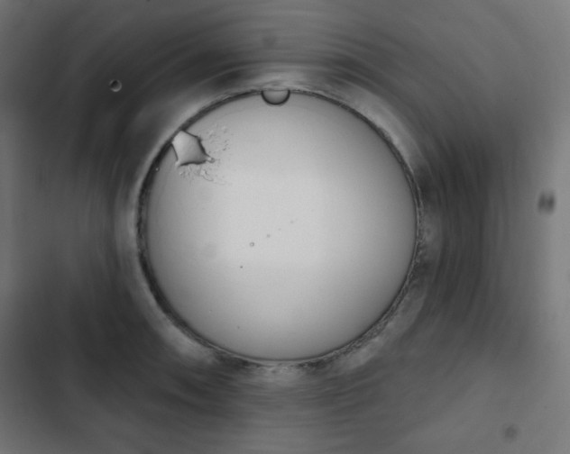 X0000103261090200809051438