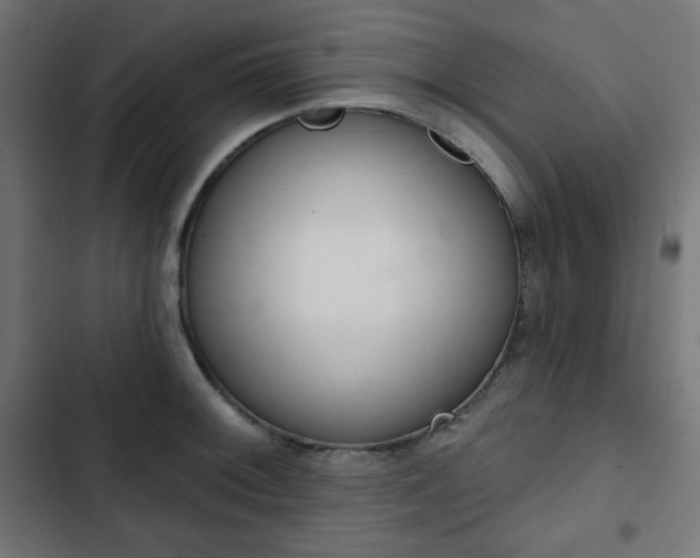 X0000103261092200809051438