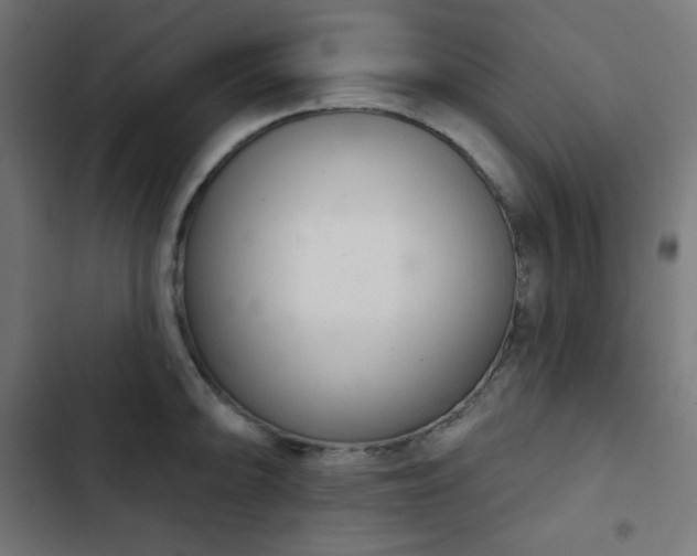 X0000103261094200809051437