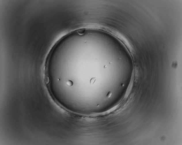 X0000103261095200809051437