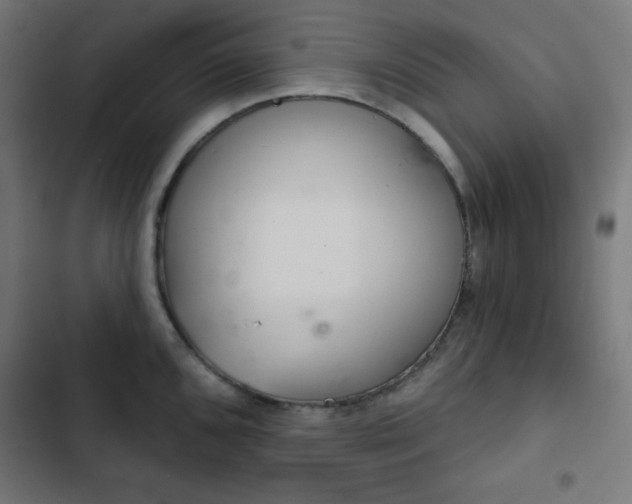 X0000103261096200809051437