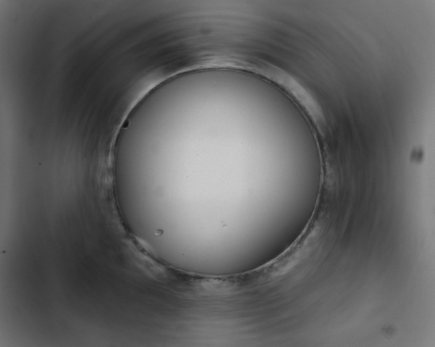 X0000103261097200809051437