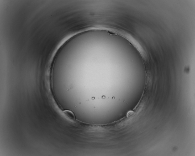 X0000103261100200809051437