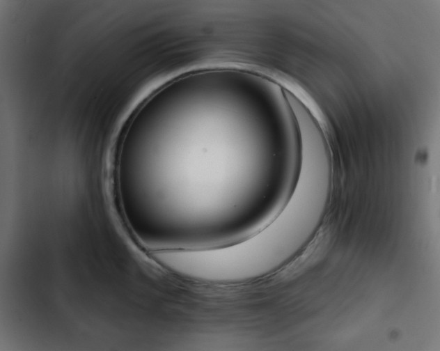 X0000103261101200809051437