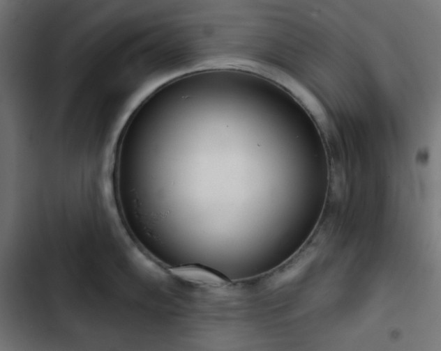 X0000103261102200809051437