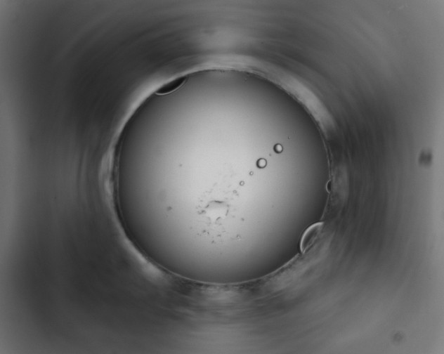 X0000103261103200809051437