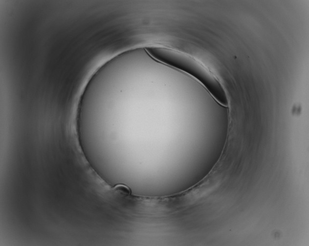 X0000103261104200809051437