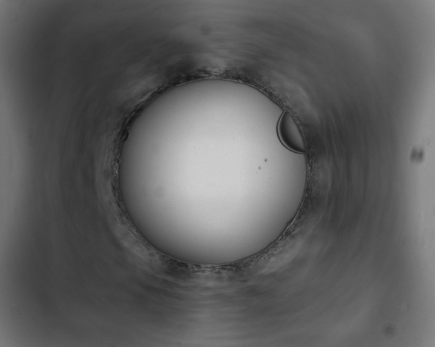 X0000103261105200809051436