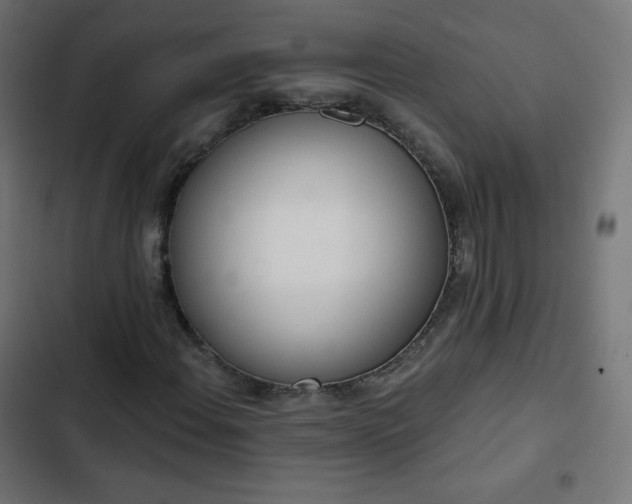 X0000103261108200809051437