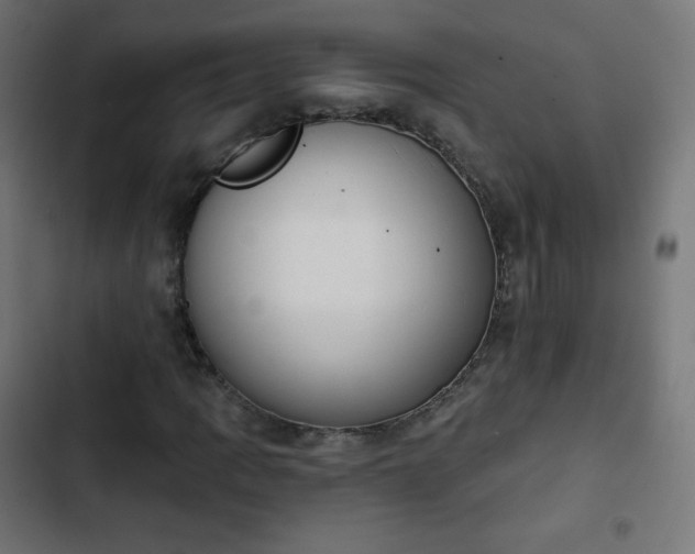 X0000103261109200809051437