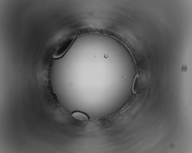 X0000103261110200809051437