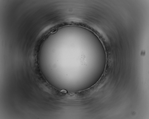 X0000103261112200809051437