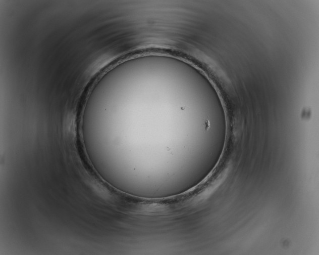 X0000103261113200809051437