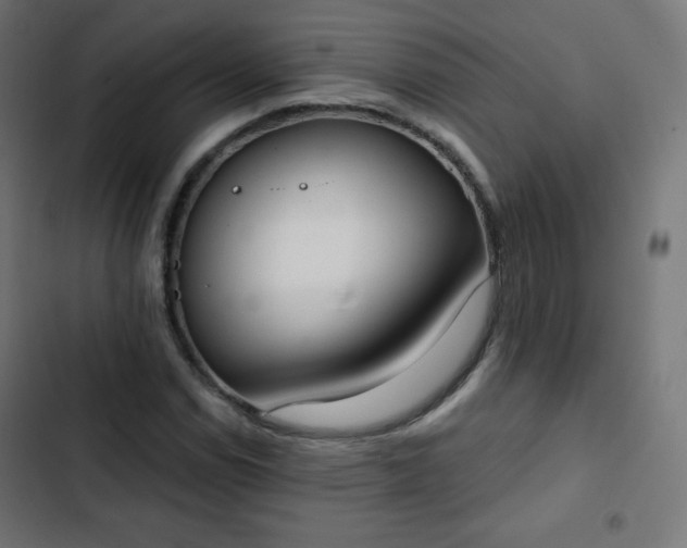 X0000103261114200809051437