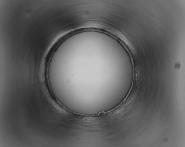 X0000103261116200809051437