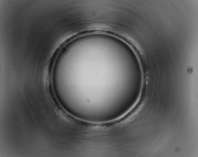 X0000103261117200809051437