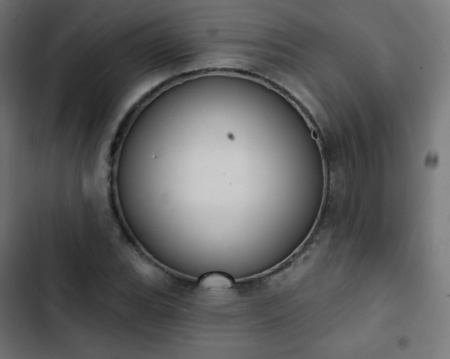 X0000103261119200809051437