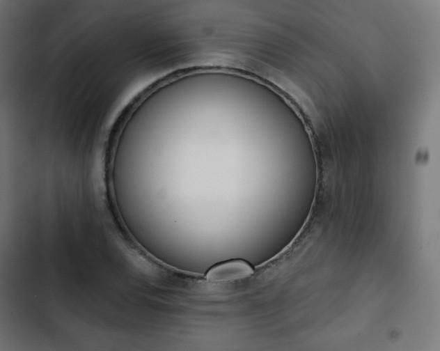 X0000103261120200809051437