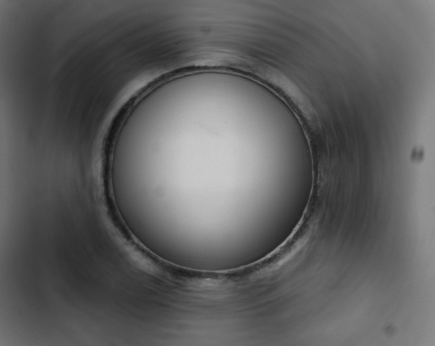 X0000103261122200809051437