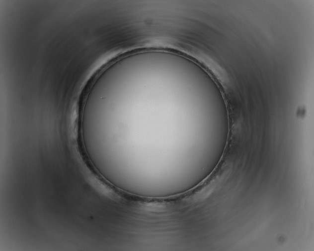 X0000103261126200809051437