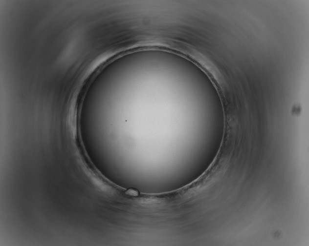 X0000103261127200809051437