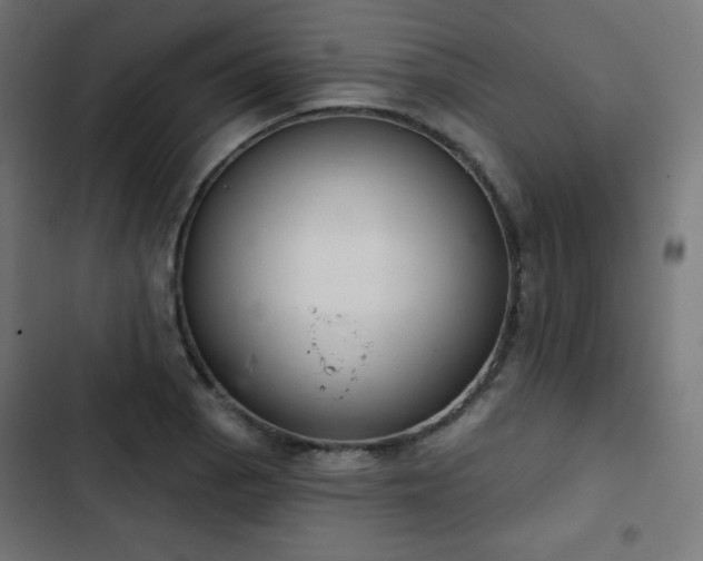 X0000103261129200809051437