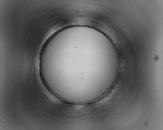 X0000103261130200809051437