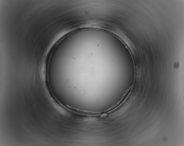 X0000103261131200809051437