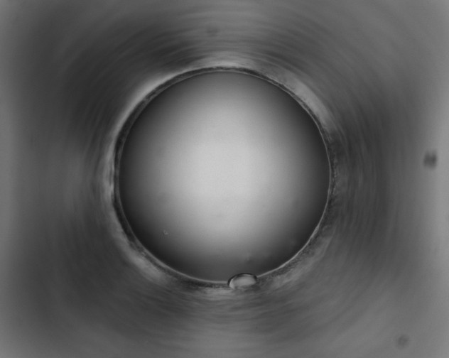 X0000103261132200809051437