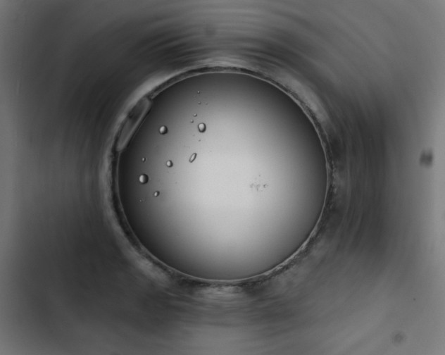 X0000103261133200809051437