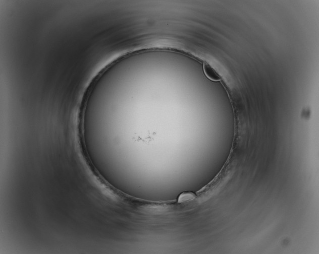 X0000103261134200809051437