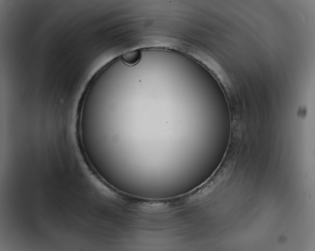 X0000103261135200809051437