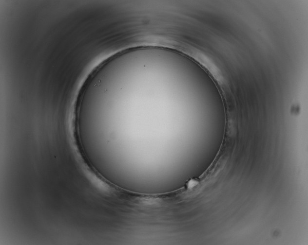 X0000103261136200809051437