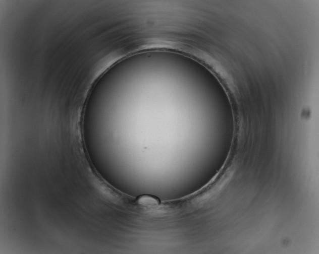 X0000103261137200809051437