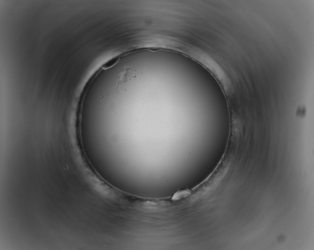 X0000103261138200809051437