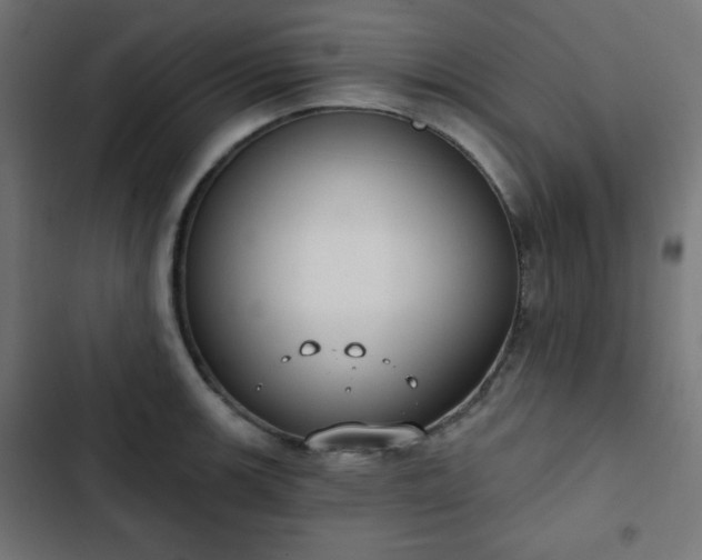 X0000103261139200809051437