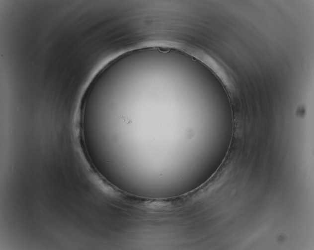 X0000103261140200809051437