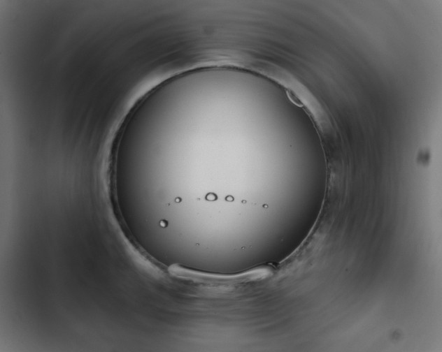 X0000103261143200809051437