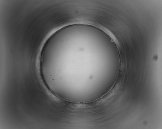 X0000103261144200809051437