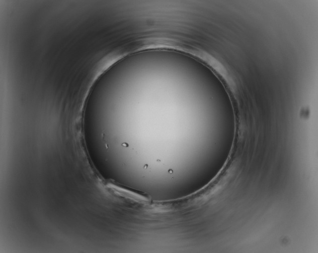 X0000103261145200809051437