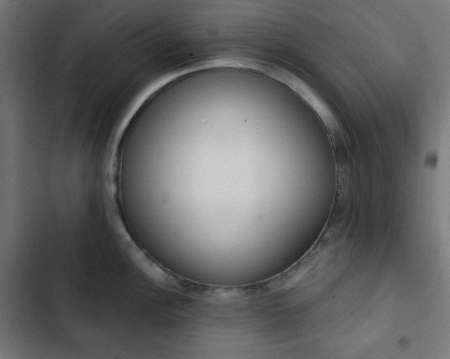 X0000103261148200809051437