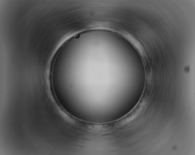 X0000103261149200809051437