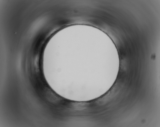 X0000103261150200809051437