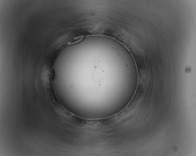 X0000103261154200809051436