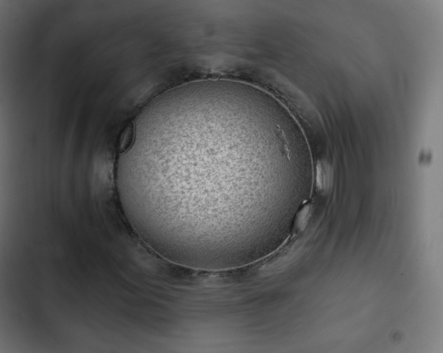 X0000103261155200809051436