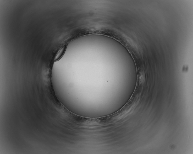 X0000103261156200809051436