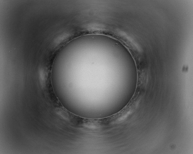 X0000103261157200809051436