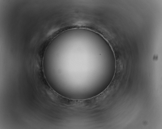 X0000103261158200809051436